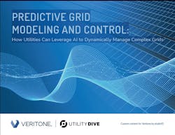 Veritone_cover Veritone_cover