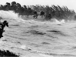 By Everett Collection/Shutterstock.com By Everett Collection/Shutterstock.com