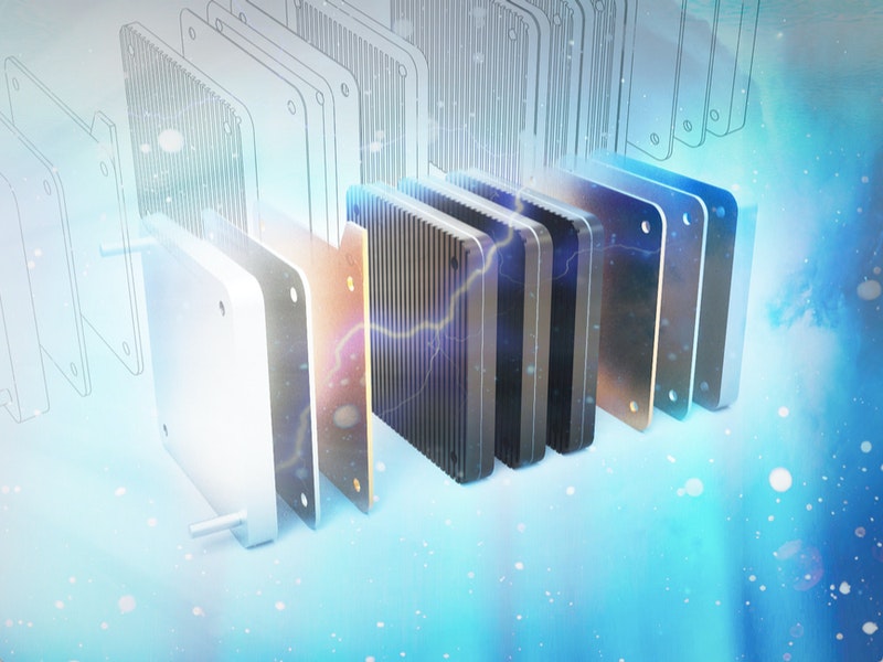 Provided Polina Krasnikova/Shutterstock.com