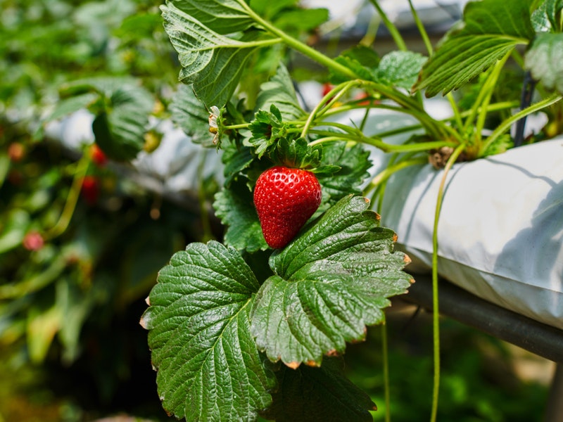 By ESstock/Shutterstock.com