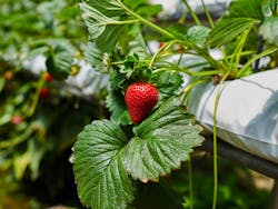 By ESstock/Shutterstock.com By ESstock/Shutterstock.com