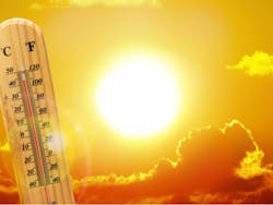 By Ed Connor/Shutterstock.com By Ed Connor/Shutterstock.com