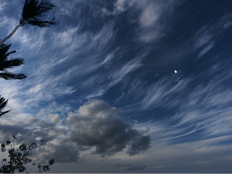 By eskystudio/Shutterstock.com