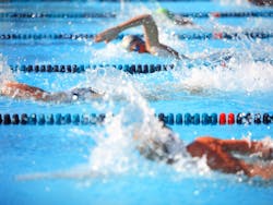 By Suzanne Tucker/Shutterstock.com By Suzanne Tucker/Shutterstock.com