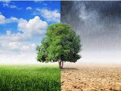 By 24Novembers/Shutterstock.com By 24Novembers/Shutterstock.com