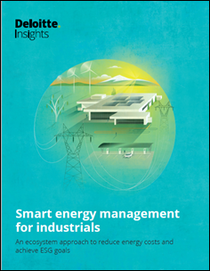 DeloitteWPCover_2021-05-27_15-20-41