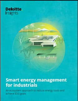 DeloitteWPCover_2021-05-27_15-20-41 DeloitteWPCover_2021-05-27_15-20-41