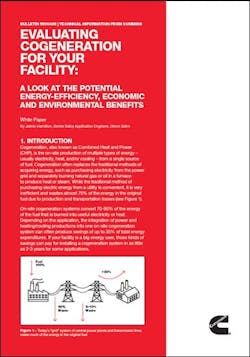 CumminsEvalutingCoverjpg CumminsEvalutingCoverjpg