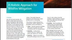 Download the full report. Download the full report.