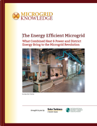 Microgrid CHP Rpt 250