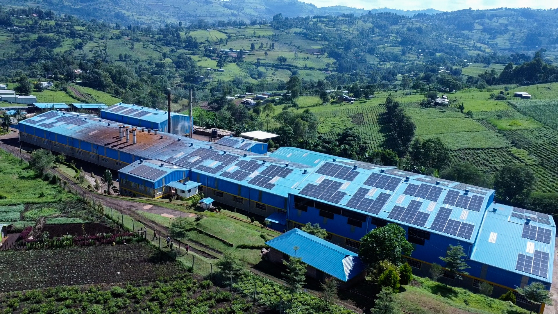 Figure 1: An aerial photo the Mbogo Valley Tea Factory with the roof top PV array driving its newly installed DC Microgrid. The Microgrid helps the factory stay in operation even when it loses grid power. The photo also shows a few of the 10,288 outgrower tea fields in the area whose livelihoods are supported by the tea factory.