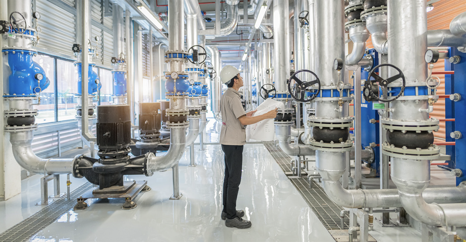 Enchanted 636bbead43b6b 636e97d99b342