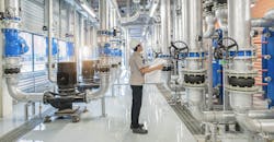 Enchanted 636bbead43b6b 636e97d99b342 Enchanted 636bbead43b6b 636e97d99b342