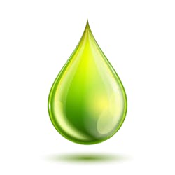 Source: tassel78/Shutterstock.com Source: tassel78/Shutterstock.com