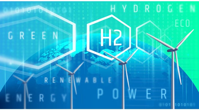 Source: Tomasz Makowski / Shutterstock.com Source: Tomasz Makowski / Shutterstock.com