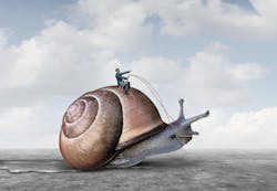 Lightspring/Shutterstock.com Lightspring/Shutterstock.com