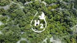 Source: d.ee_angelo / Shutterstock.com Source: d.ee_angelo / Shutterstock.com