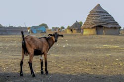 Source: Zuzana Bendova / Shutterstock.com Source: Zuzana Bendova / Shutterstock.com