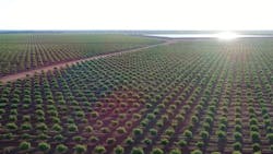 Australia Microgrid Agl 64cbe7960bb9d Australia Microgrid Agl 64cbe7960bb9d