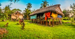 A home in Avatip, Sepik river in Papua New Guinea. Source: Michal Knitl - Shutterstock.com A home in Avatip, Sepik river in Papua New Guinea. Source: Michal Knitl - Shutterstock.com