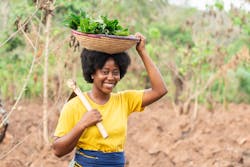 Source: i_am_zews / Shutterstock.com Source: i_am_zews / Shutterstock.com