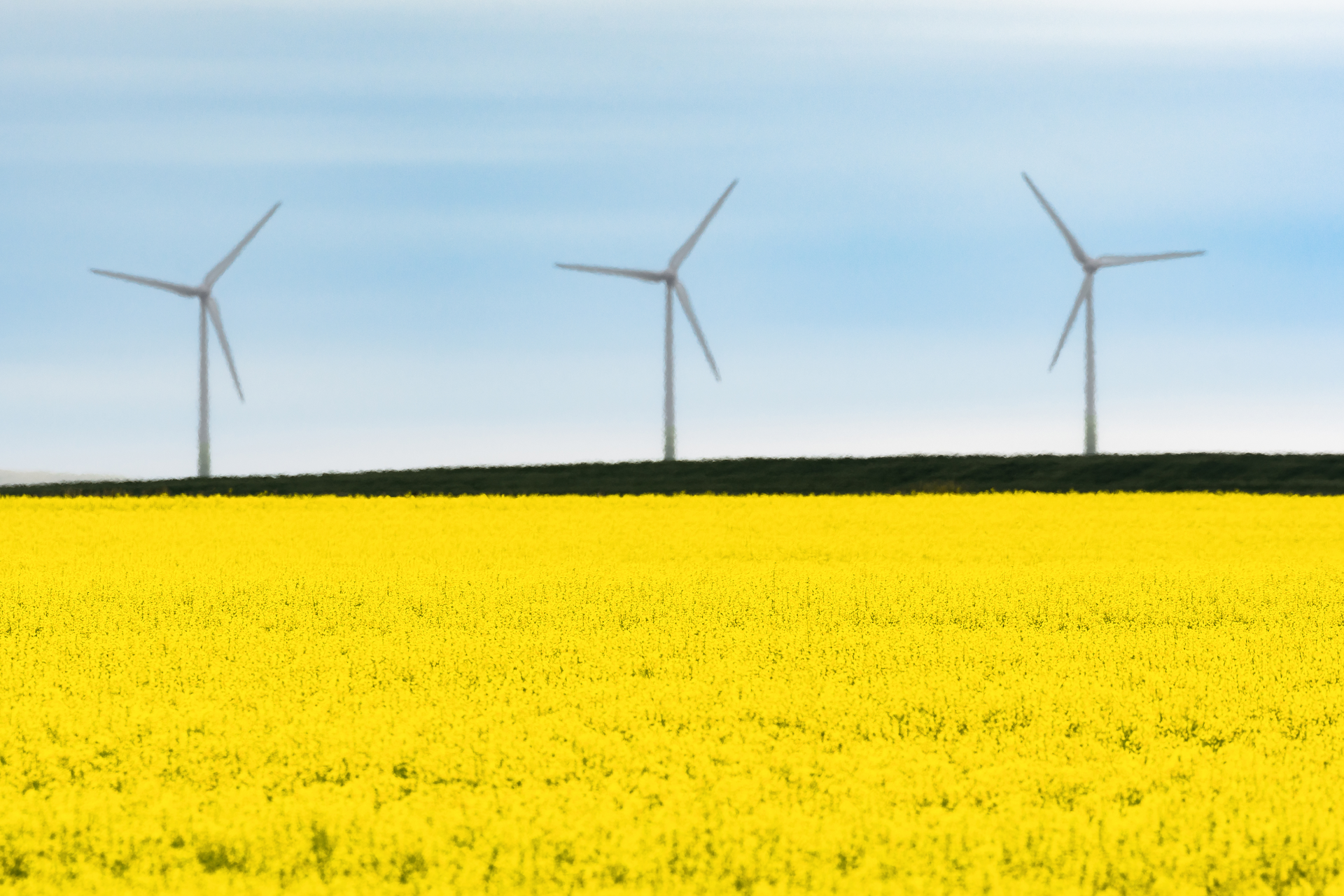 Alberta, Canada-based wind projects are among the recipients of government funding. (Source: Tabor Chichakly / Shutterstock.com)
