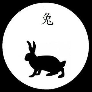 yrear_of_rabbit