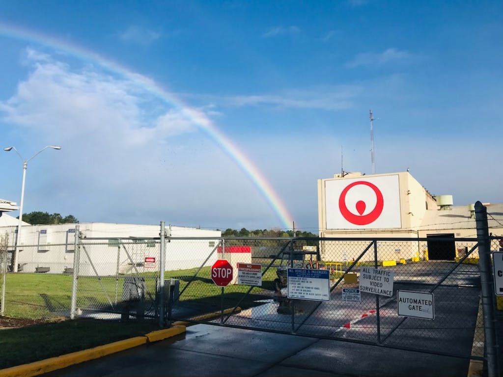 65bc16c43ab691001e5e2da9 Gs