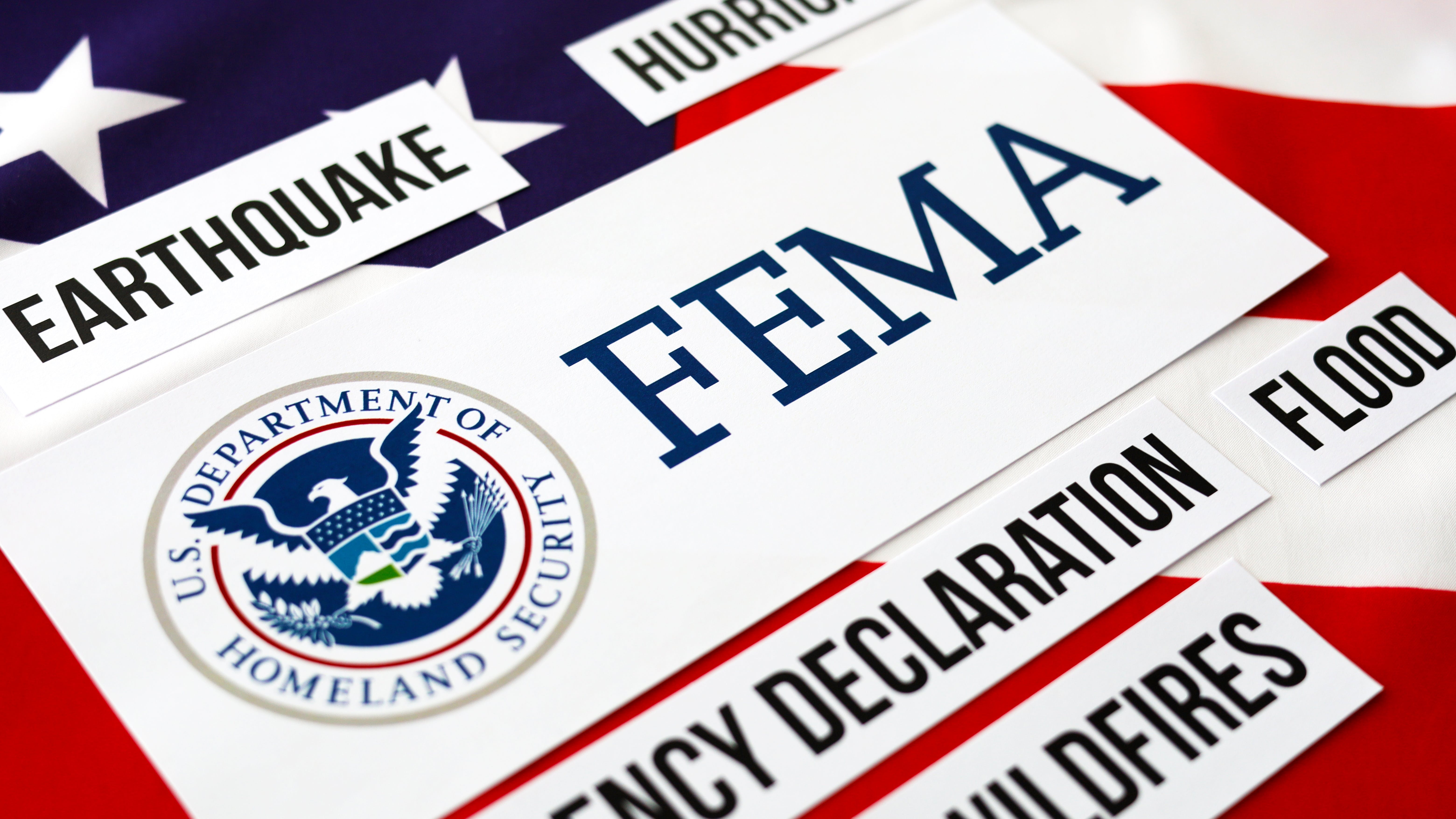 Source: danielfela / Shutterstock.com