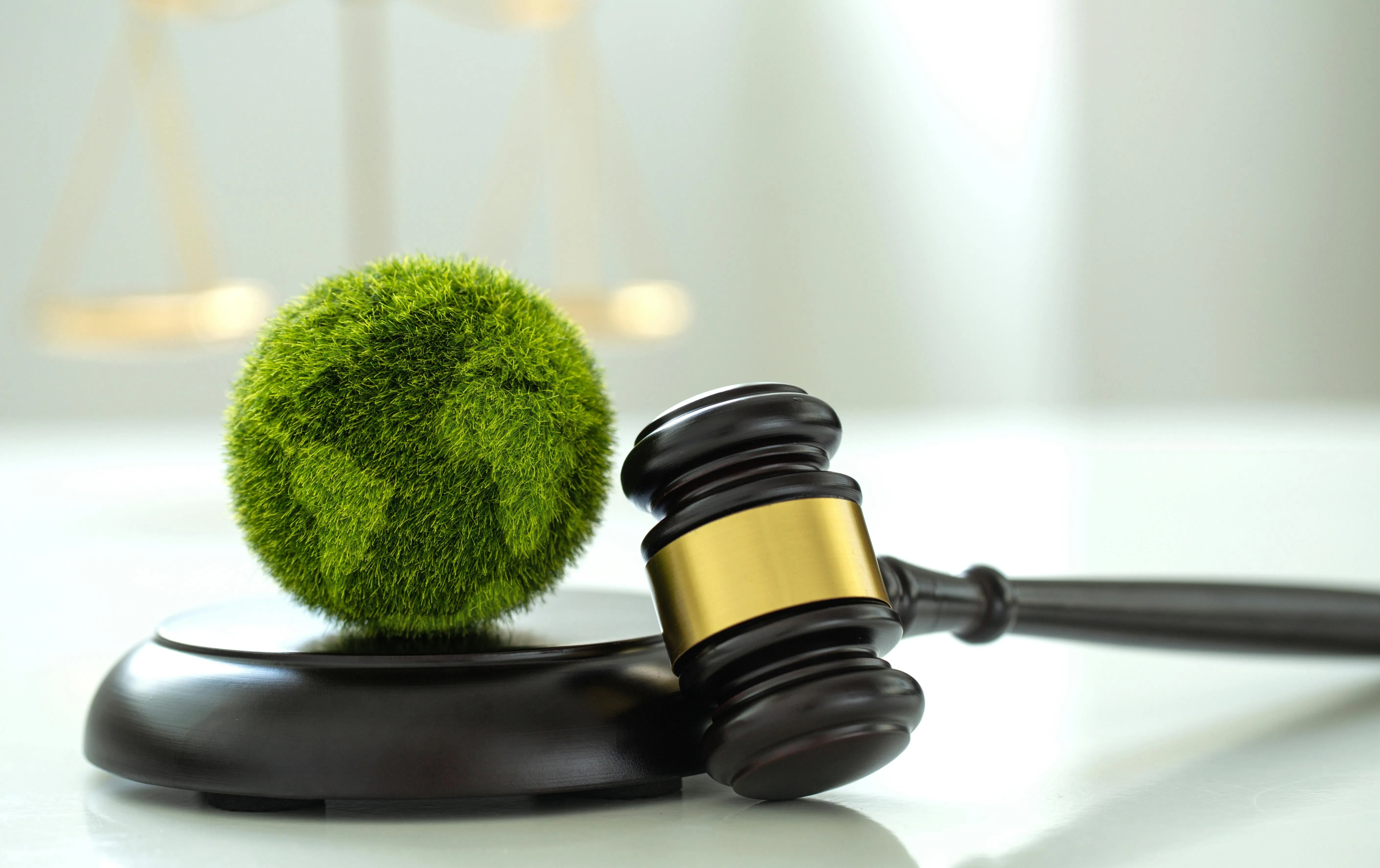 Self-Reliance Scorecard Lauds State Legislation Helping DERs and Microgrids Overcome Utility Barriers to Local Energy - Vimarsana News