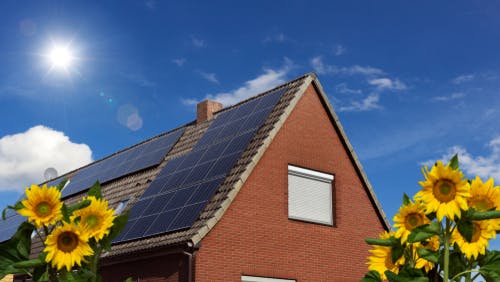 shutterstock_ofc_pictures