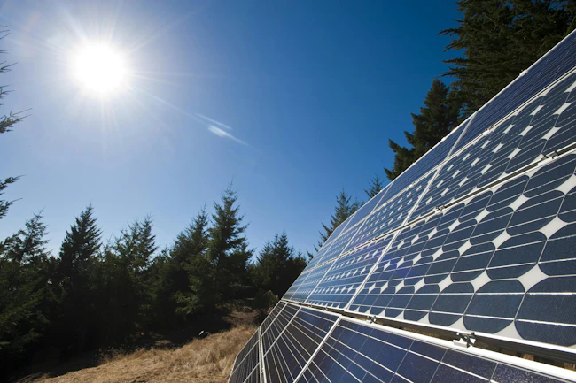 Source: sydcinema/Shutterstock.com