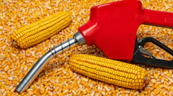 Source: J.J. Gouin/Shutterstock.com