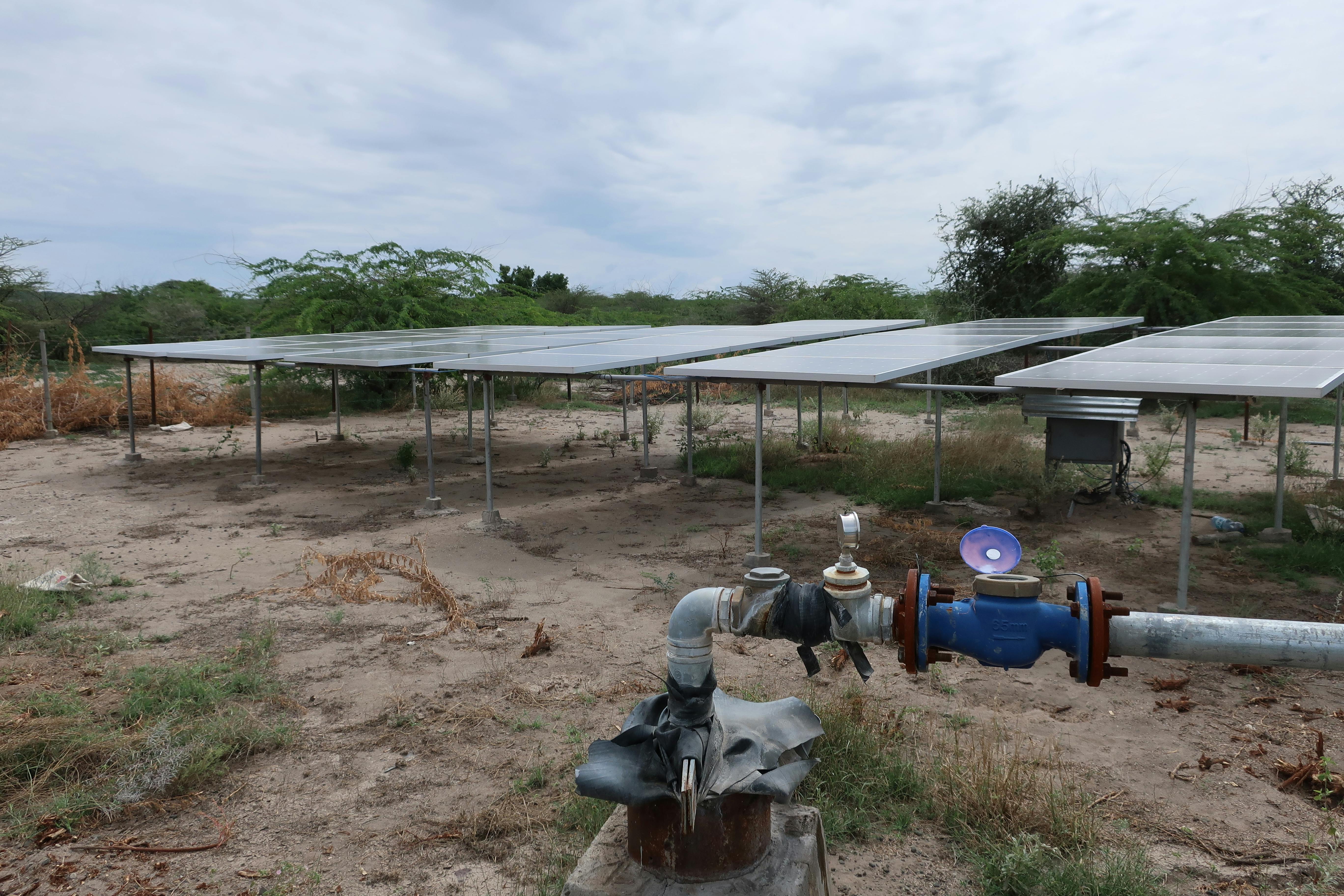 Source: JohnRobert/Shutterstock.com