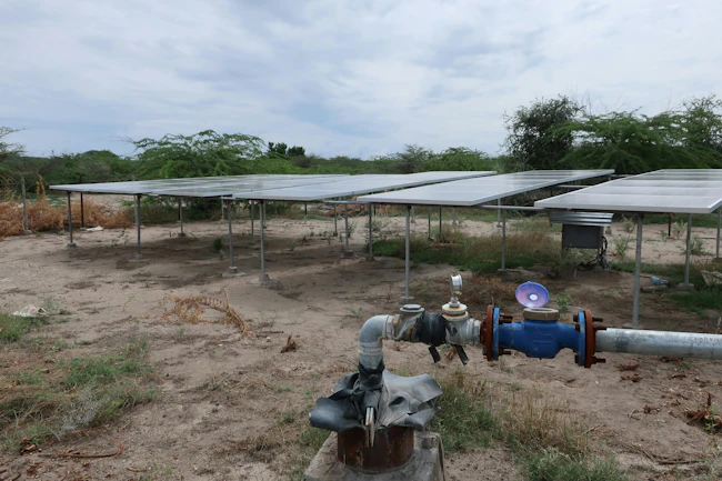 Source: JohnRobert/Shutterstock.com