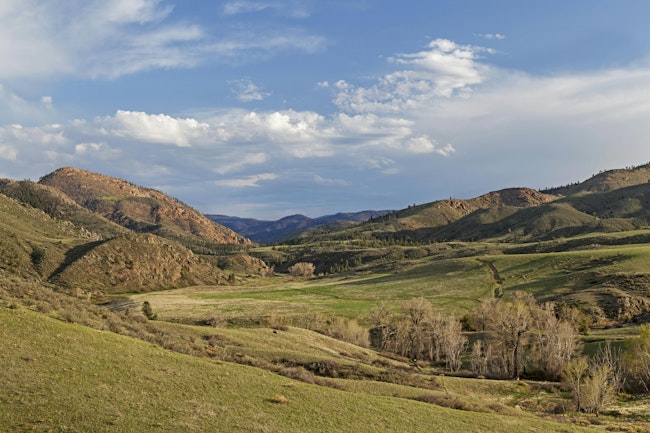 Eagle Nest Rock Open Space near Livermore, Colorado. The Livermore Microgrid Storage Project recently received funding from the Microgrids for Community Resilience grant program. (Source: marekuliasz/Shutterstock.com)