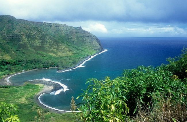 Source: mikefai/Shutterstock.com