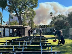 6797adf5d1d91603e0544377 Lisa Sent Foto 1 6797adf5d1d91603e0544377 Lisa Sent Foto 1