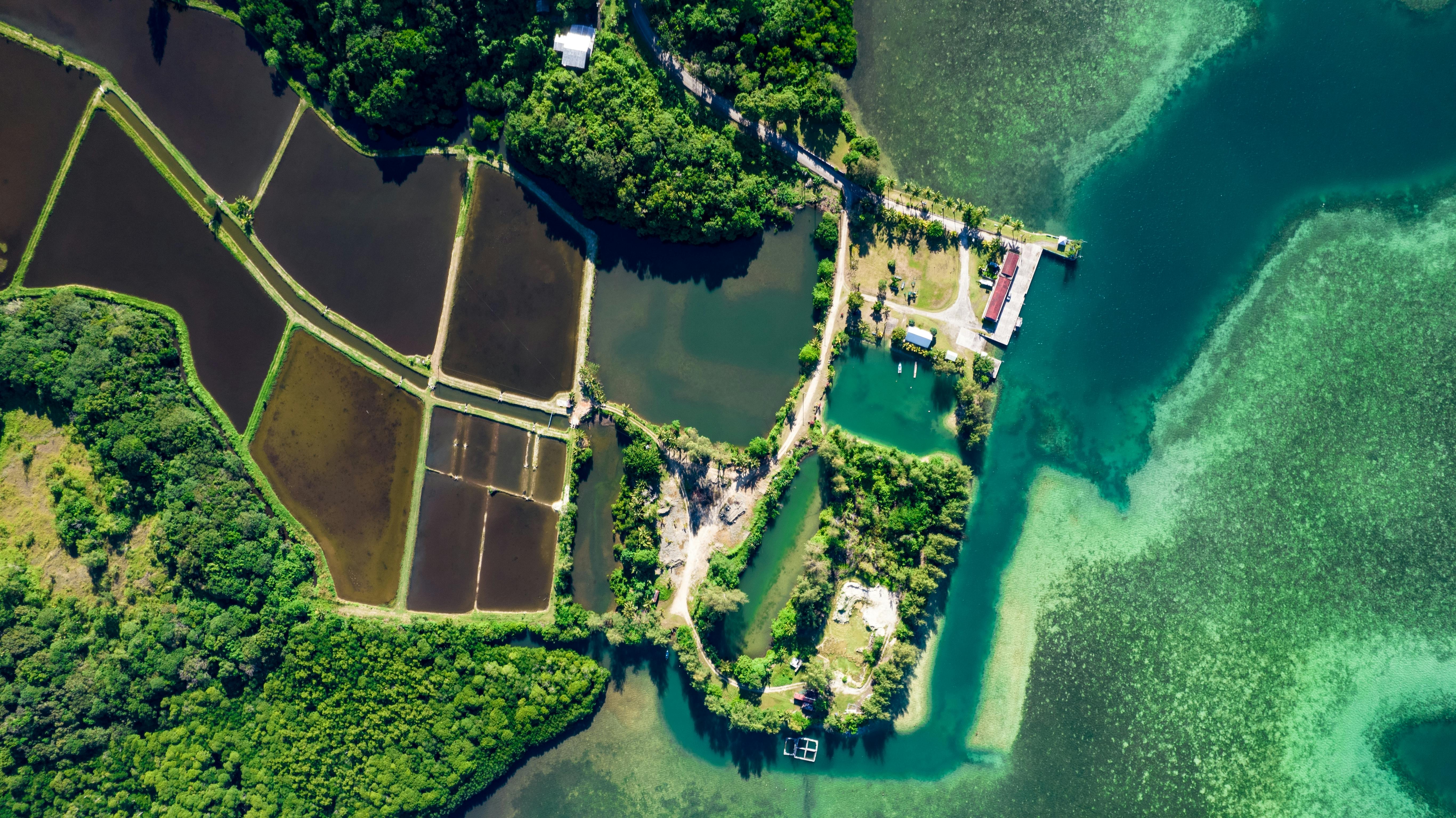 Aerial view of fish farm and shrimp farm in Ngatpang, Babeldaob, Palau. (Source: Fidelia AZ/Shutterstock.com)