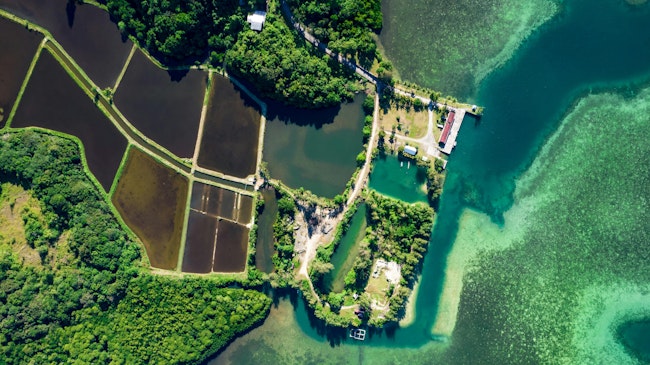 Aerial view of fish farm and shrimp farm in Ngatpang, Babeldaob, Palau. (Source: Fidelia AZ/Shutterstock.com)