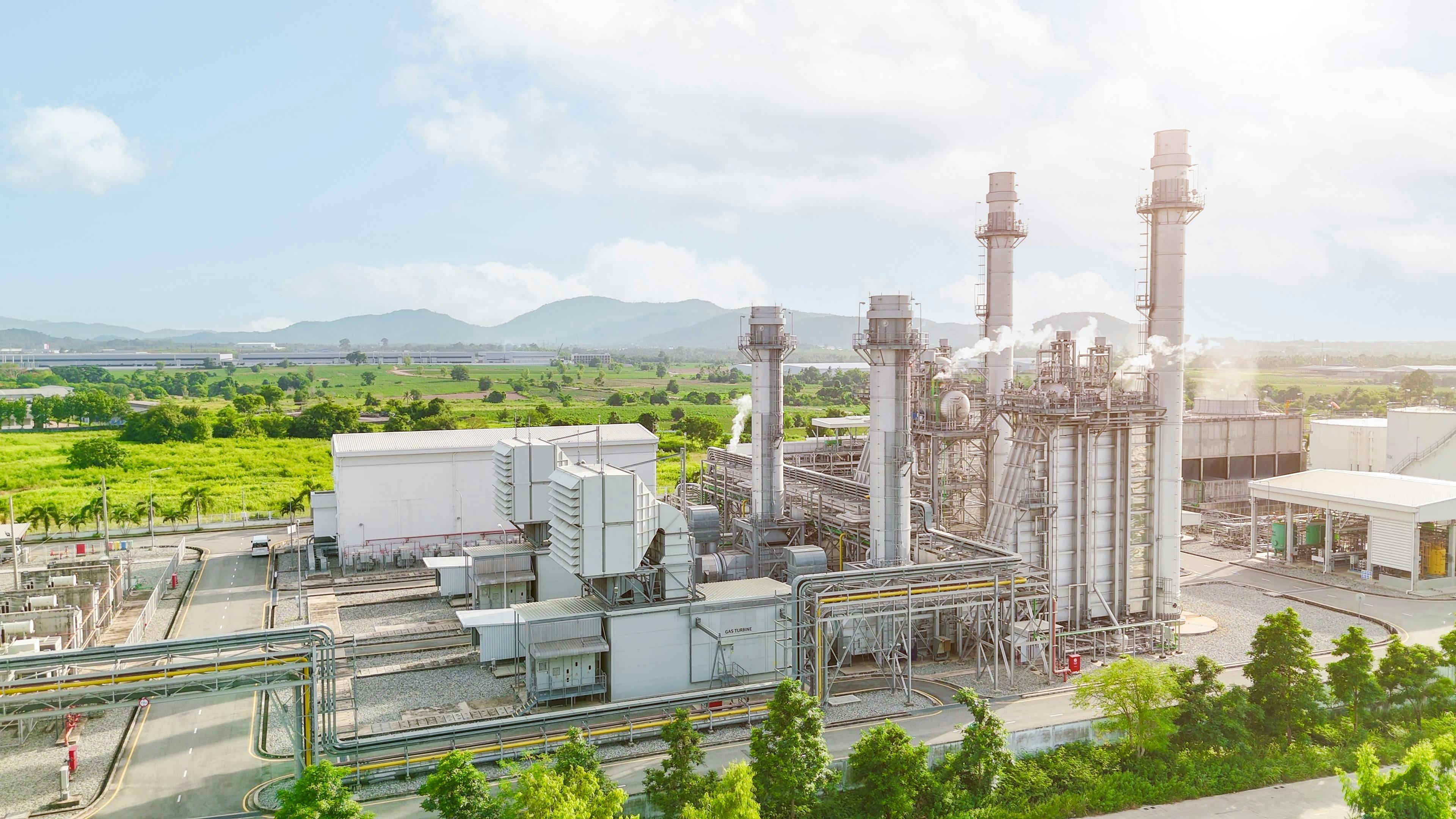 67b4b92fa577ec7b09a8a267 Quality Stock Arts Shutterstock