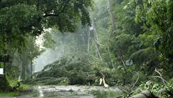 682b32b6872f856f41dbd560 Storm Damage Dreamstime 682b32b6872f856f41dbd560 Storm Damage Dreamstime