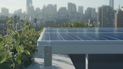 683f6b695f5fc4a60daa1115 Dreamstime M 364399448 683f6b695f5fc4a60daa1115 Dreamstime M 364399448