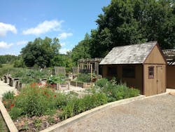 County Farm Park community garden (Image courtesy of Thrive Collaborative) County Farm Park community garden (Image courtesy of Thrive Collaborative)