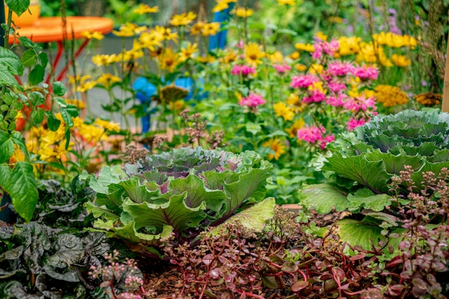 Source: Shebeko/Shutterstock.com
