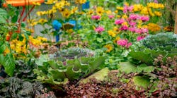 Source: Shebeko/Shutterstock.com Source: Shebeko/Shutterstock.com