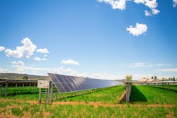 691b1a7b51726b8f639f670d Sunnyside La Plata Mgk 691b1a7b51726b8f639f670d Sunnyside La Plata Mgk