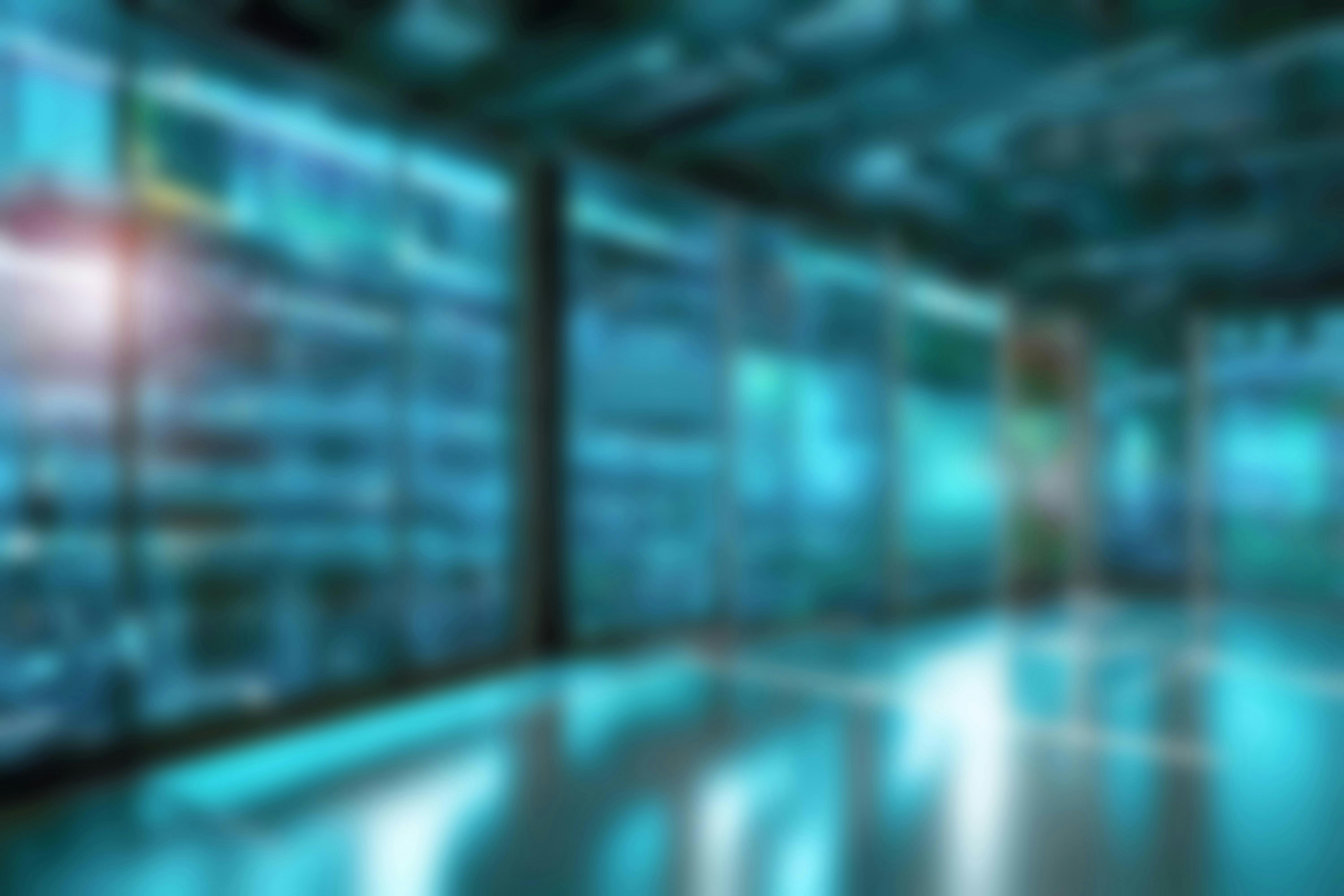 6942f84a766073b3cd3b2bd4 Blurred Data Center Shutterstock