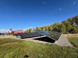 Source: Michiel Zuidweg Source: Michiel Zuidweg