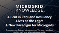 micr_paradigm_cover_0126_w600 micr_paradigm_cover_0126_w600